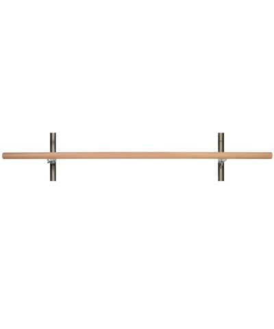 10 Ft  Single Adjustable Wall Mounted Barre