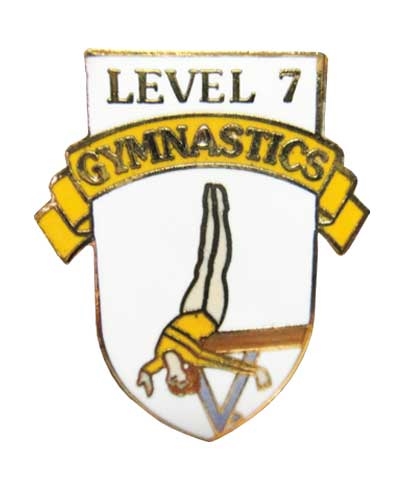 Level 7 Gymnastics Pin