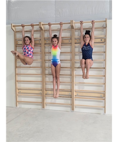 Stall Bar / Wall Bar 34" x 96"
