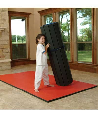 Home Tatami Flexi Roll Martial Arts Mat 5 X10 Free Shipping Ten