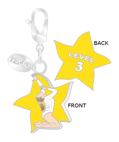 Gym Charm - Level 3 FREE SHIPPING