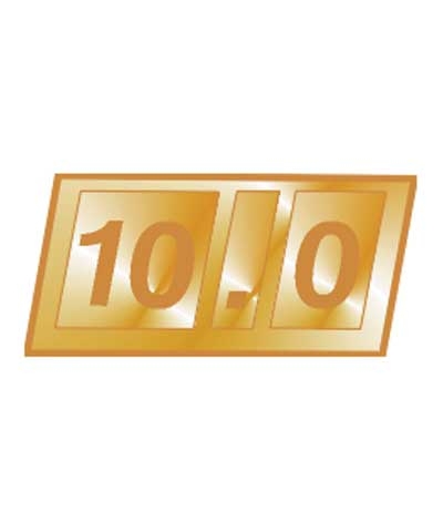 10.0 Pin