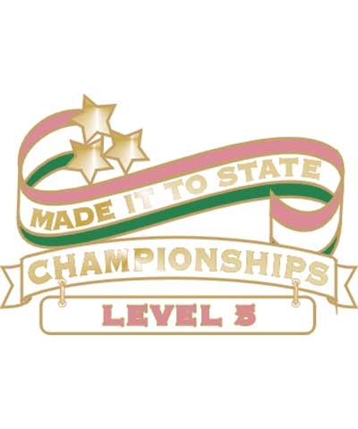 Level 5 Made It To State Pin
