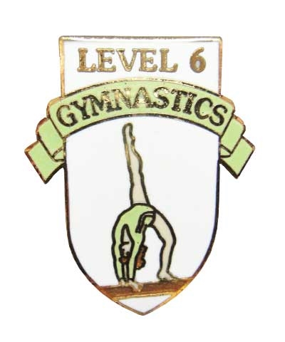 Level 6 Gymnastics Pin