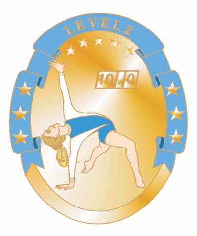 USAG Level 2 Pin