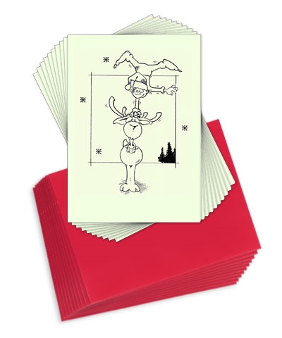 Christmas Note Cards (Pack of 12)