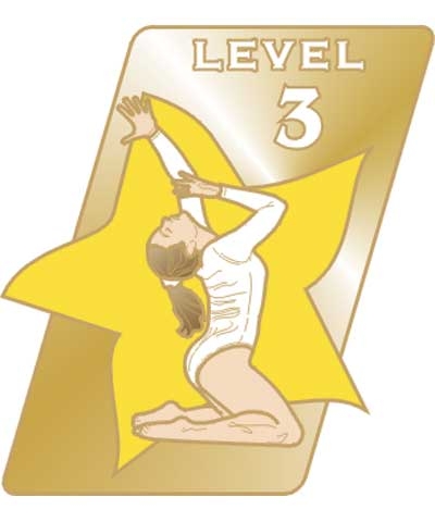 USAG Level 3 Pin